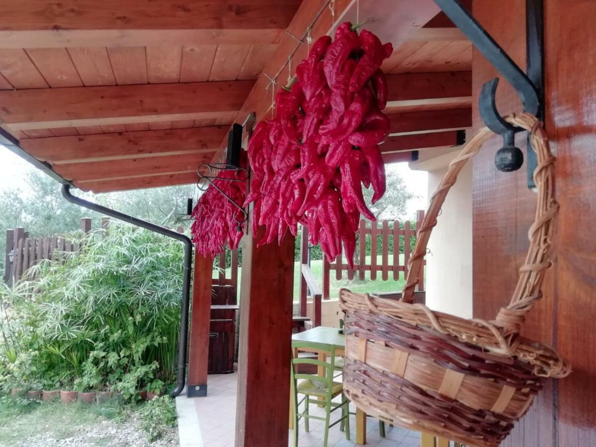 Le Chalet Del Pollino Rotonda Exteriör bild